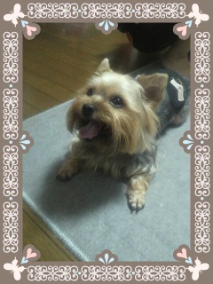 �����ꂾ�H