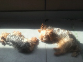 ���̏����̂ɁB