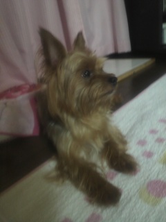 �������B