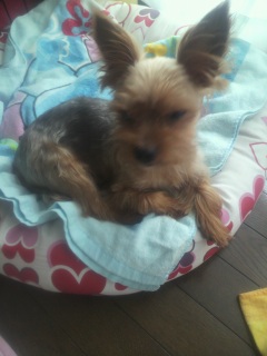 �����ς�B