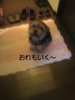 ���������B