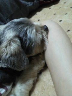 ���܂ł����Ă��B