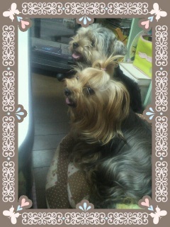 �������ݺ