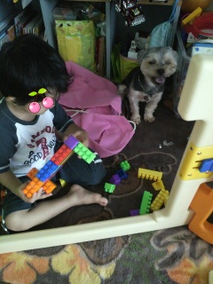 ���ł��ȁH