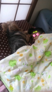 ������́B