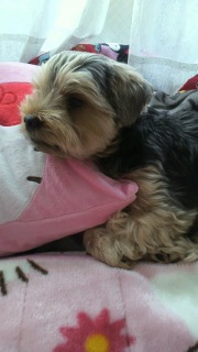 ����������́B