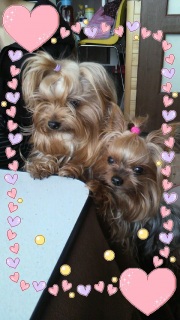 10���̓y�j����