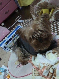 ����΂��B