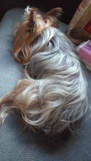 ����������