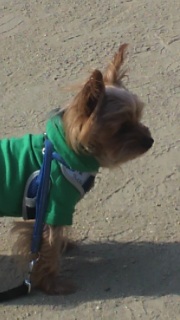 1��9����