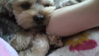 �܂�����