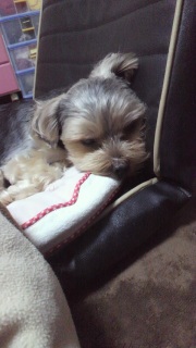 ������