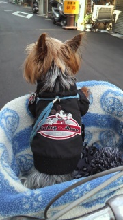 �m�����܂�