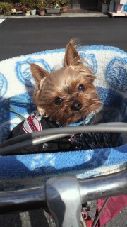 �������`��B