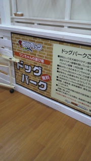 ���j����