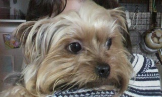 ��Ղ݂����Ȏ�