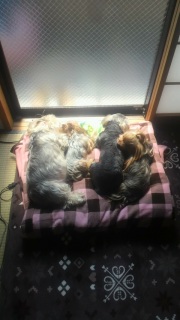 �������