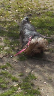 ����ς�x����