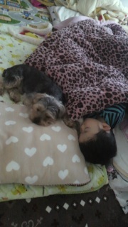 ����ς蒇�ǂ��H