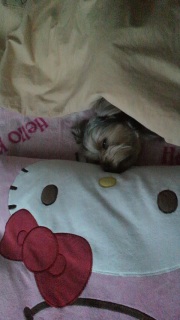 �N����Ȃ�