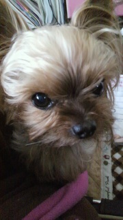 ����̗��B