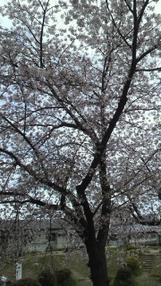 �y�j����