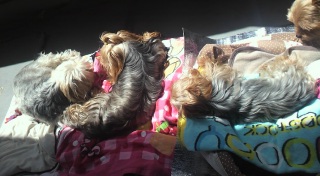 �������V�C�`