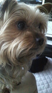 GW�̂����A��