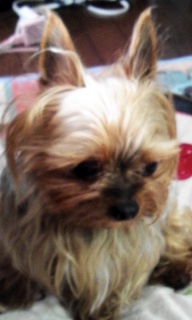 ����@21���B