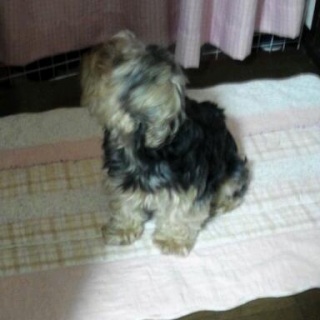 �҂�����