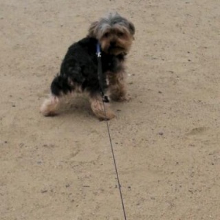 �������傭