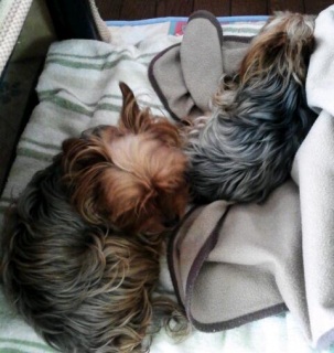 ���΂ɂ́E�E