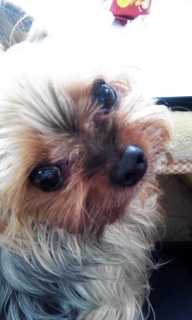 �����̂�������