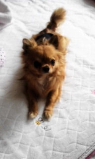 �����|��