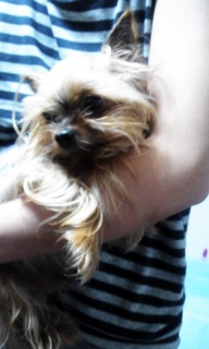 ���̂�������