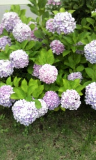 �u�₩�����āB