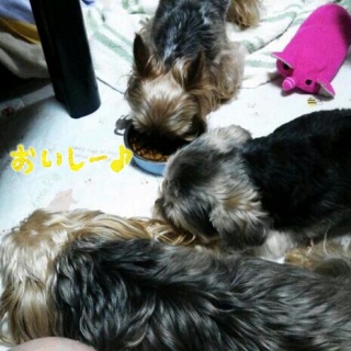 �Ƃ�Ȃ��q�B