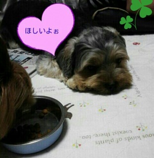 ��������΁B�B