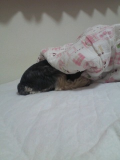 �܂��˂ނ˂ށB