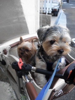 ���N���B