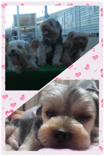 21���i���j