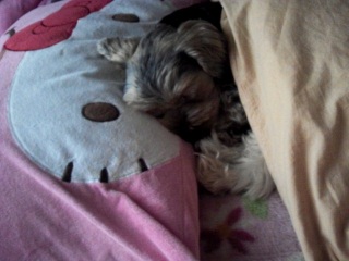 �����Ȃ��Ă�������Ȃ�