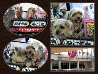 19���@���j��