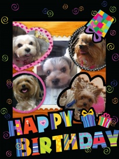 �܂��܂���