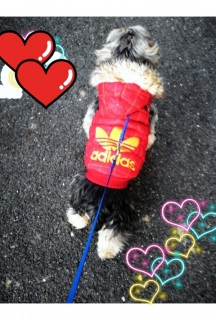 ��������������