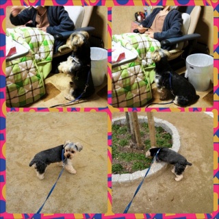 ��n�@��񂿂�