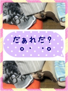 (^_^)�v�v�b