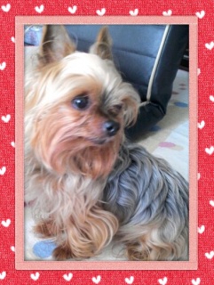 25���@�y�j��