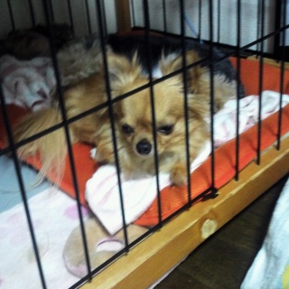 �C�i�����j�����