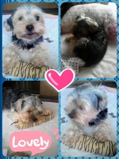 �Ԃ������